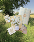 June Snail Mail Catch Up