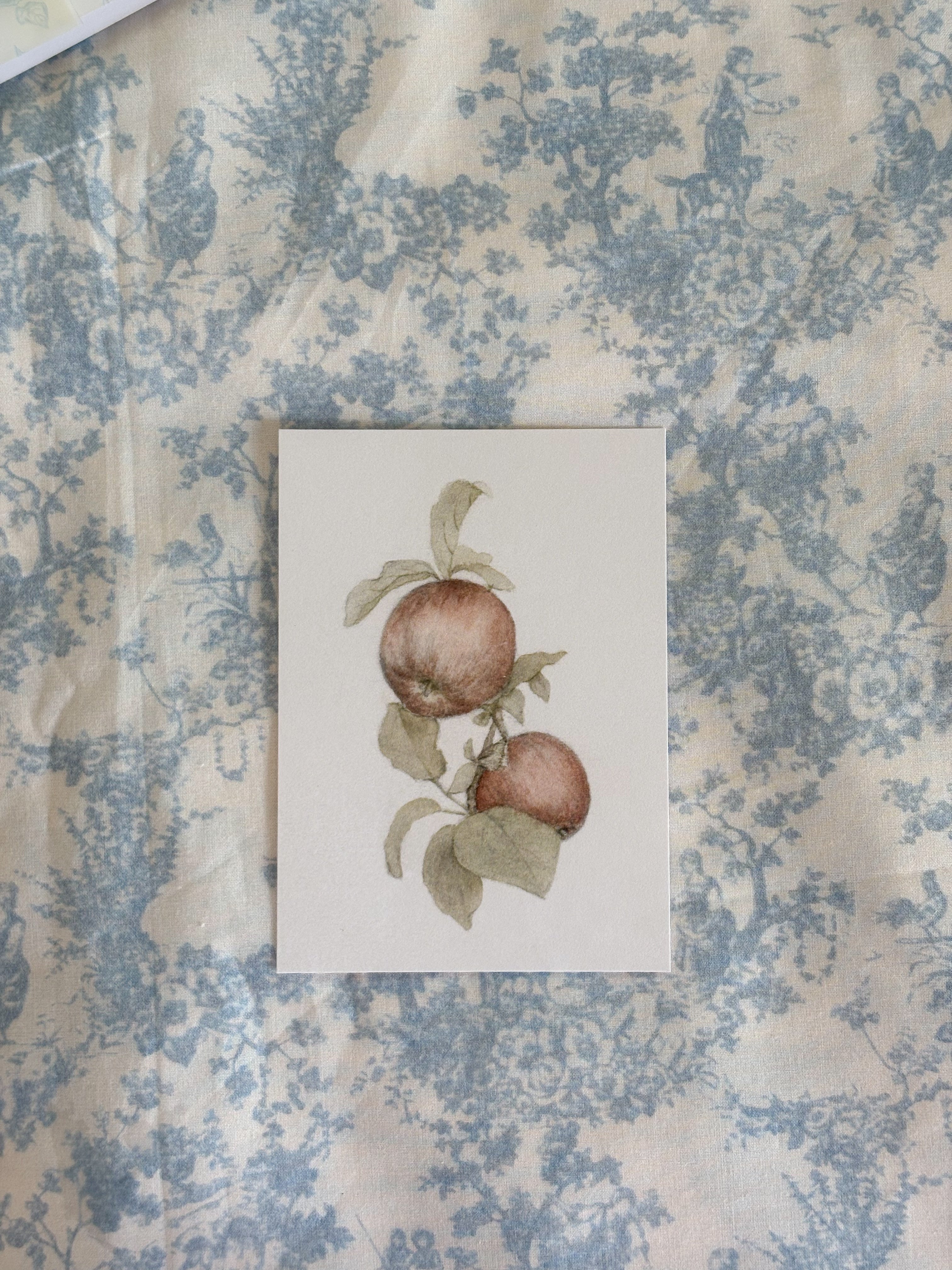 The Pick Wick Post - Snail Mail Club Monthly Subscription